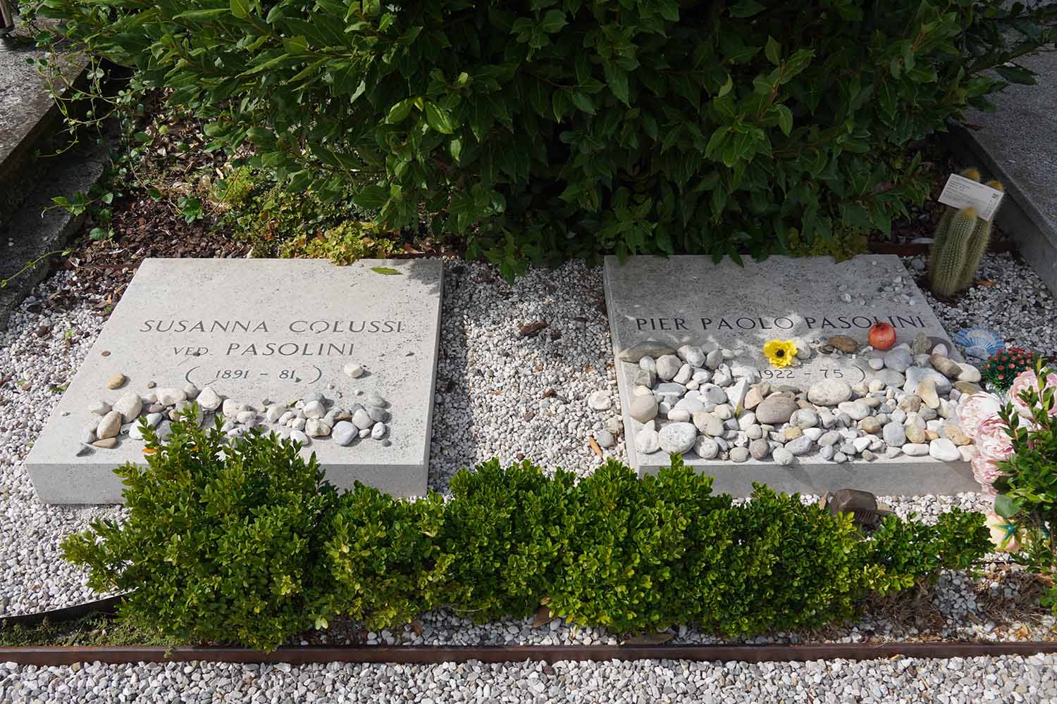 Pasolini Cimitero di Casarza Tomba